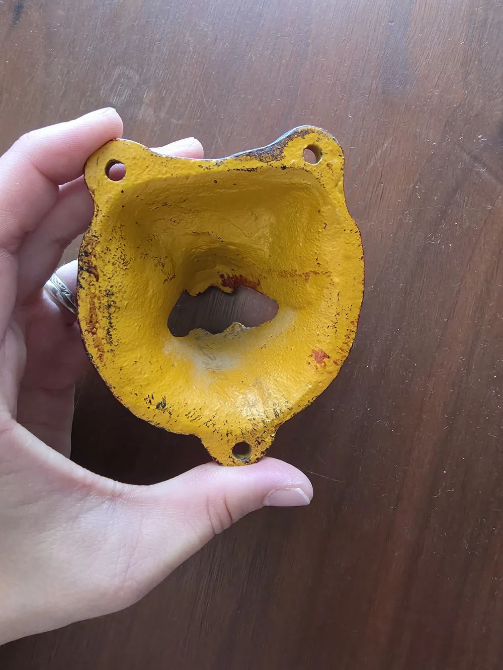 Bear Head Wall Bottle Opener in Yellow-Brown Finish